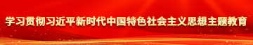 插入爽了快点学习贯彻习近平新时代中国特色社会主义思想主题教育